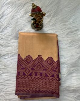 Tissue silk saree
